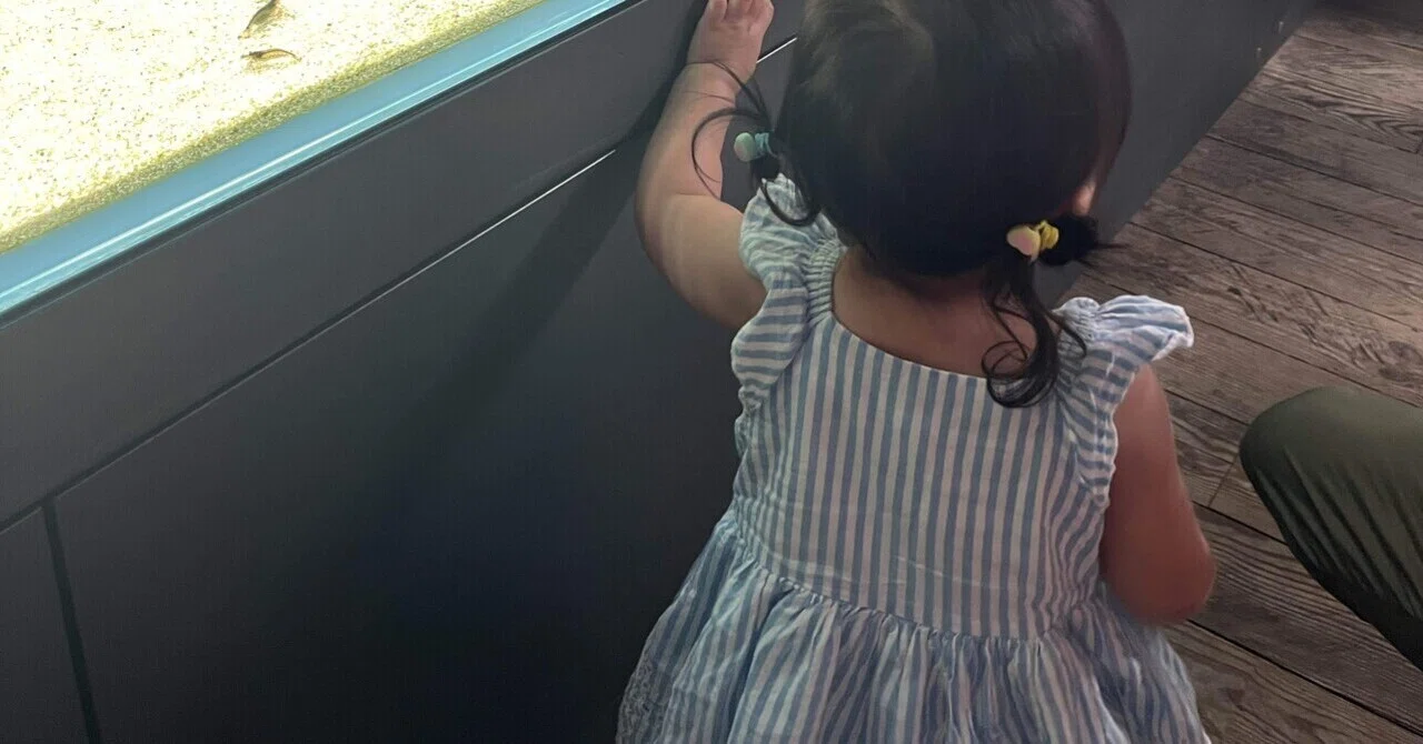 Rejected for September Enrollment...! Second Childcare Leave Extension ...