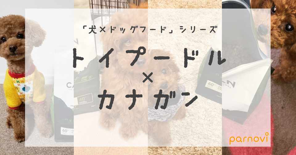 犬種に合うフード探しvol 7 トイプードル カナガン Parnovi公式 Note