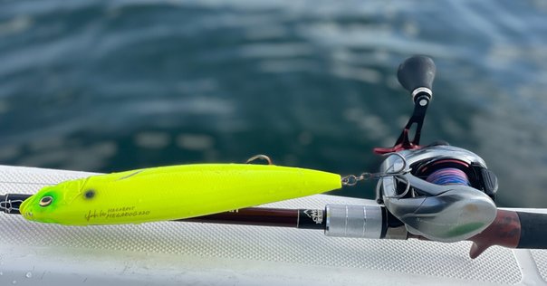 入荷速報】Nate's Baits「12インチ Line Through Trout」登場