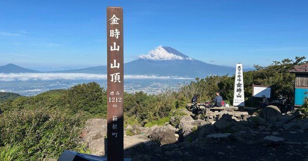 箱根 金時山の夏　シシウド咲く パステル画 3458_b.jpg
