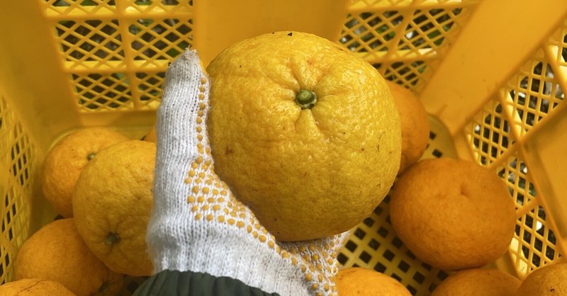 もっさん。｜note