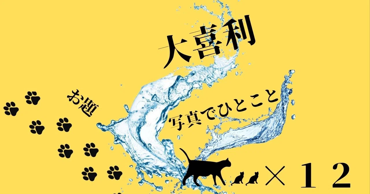 見出し画像