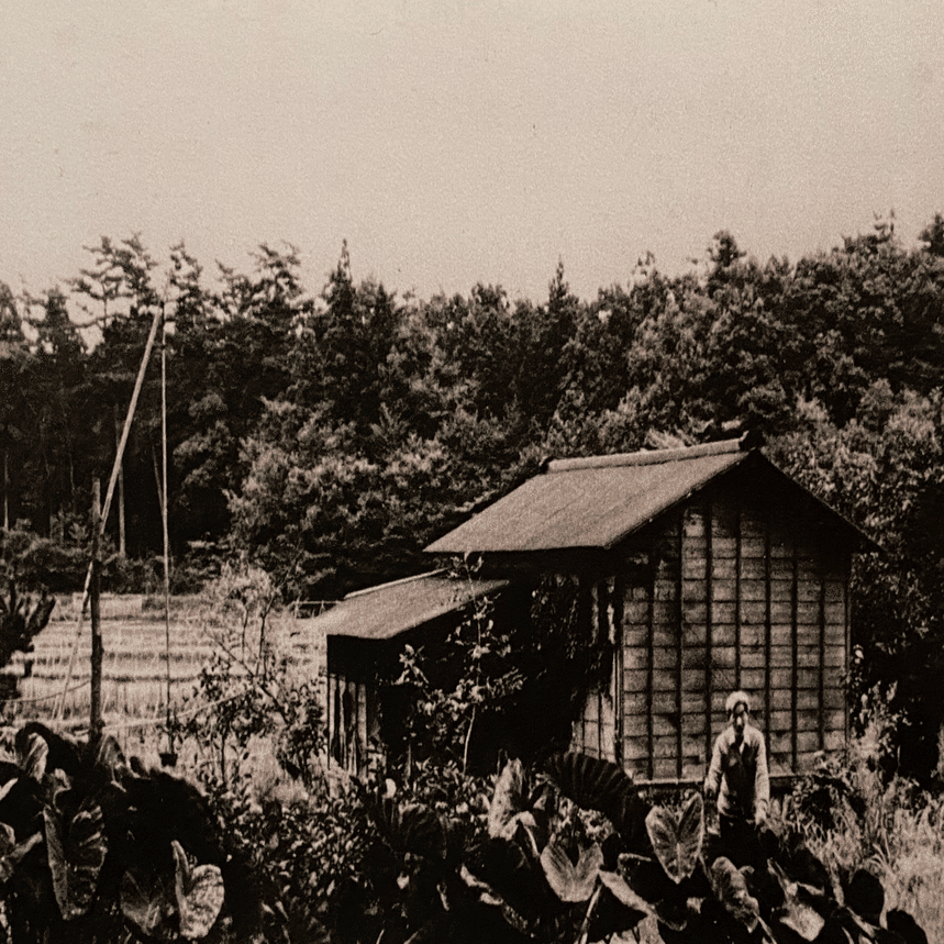 孤高の画家 髙島野十郎｜motada