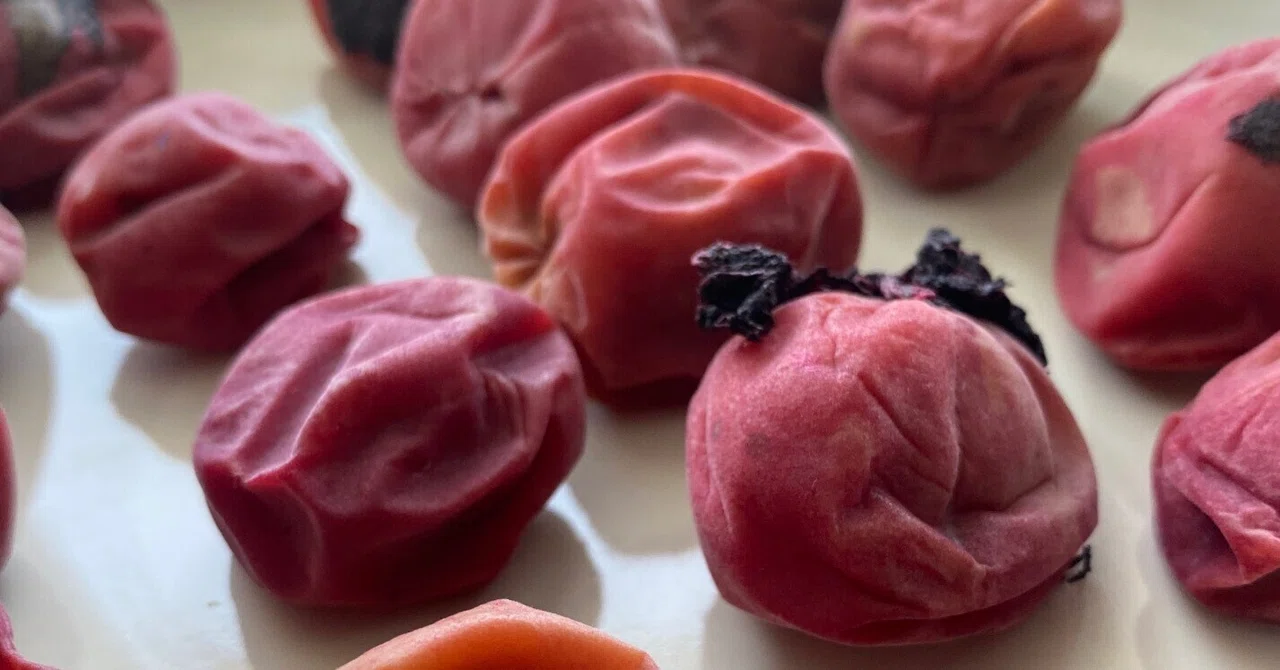 Carefulness and Carelessness - Umeboshi and My Mindfulness｜Airy