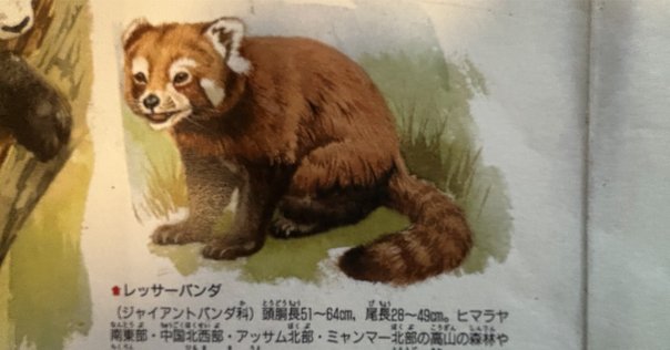齧齒類ページ ❤️ Steam 上的啮齿动物44号观察记录