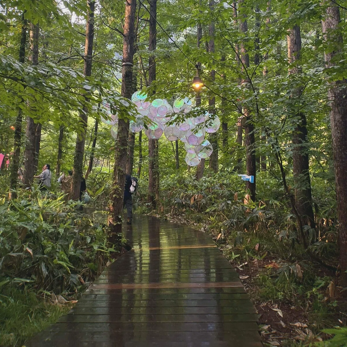 雨のボードウォークの写真