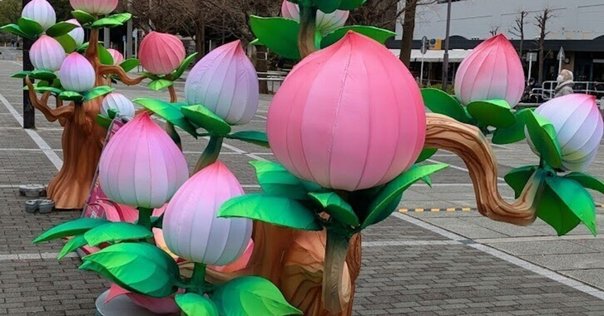 茶碗　春三花　梅桃桜 桜梅桃李｜TECHNOuchi