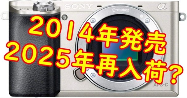 2024年にα6000とutulensを買いました。｜Shino｜20代フリーランス