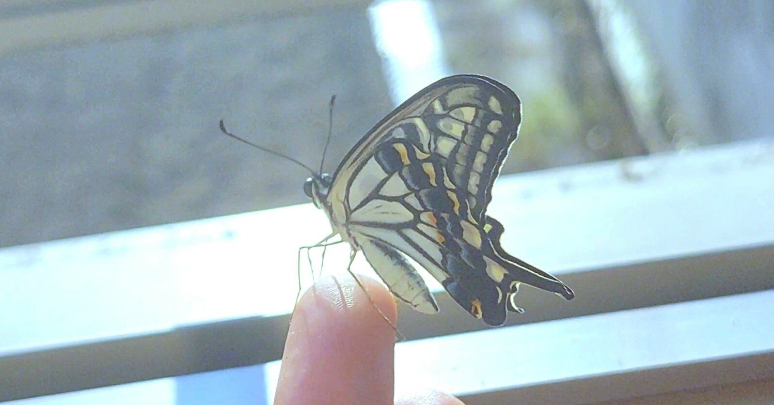 eabc0afb09d3638fc4f0567cf26cfa