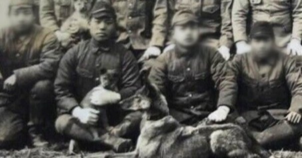 【中古】 陸軍八日市飛行場 戦後７０年の証言/サンライズ出版（彦根）/中島伸男 中古】 陸軍八日市飛行場 戦後70年の証言/サンライズ出版