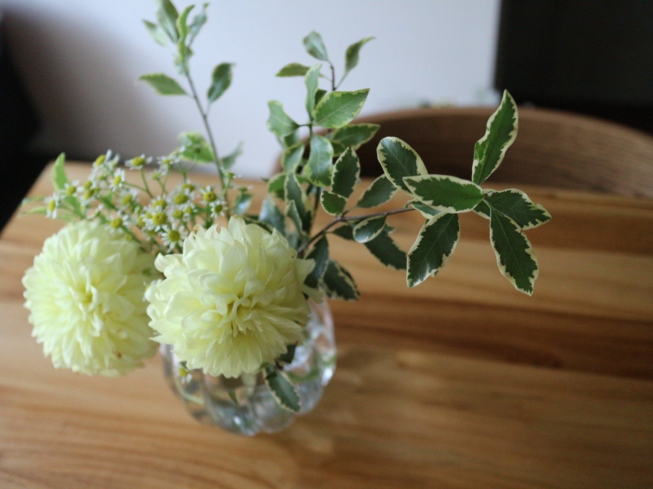 公開レッスン 基本の花瓶いけのポイント ダリア デザイナー Satori Hanaike はないけ Note 公開レッスン 基本の花瓶いけのポイント ダリア デザイナー Satori Hanaike はないけ Note