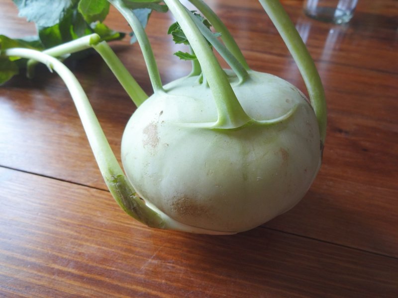 扱いが謎だった野菜を攻略したと思う日記 ゆりとむ Note