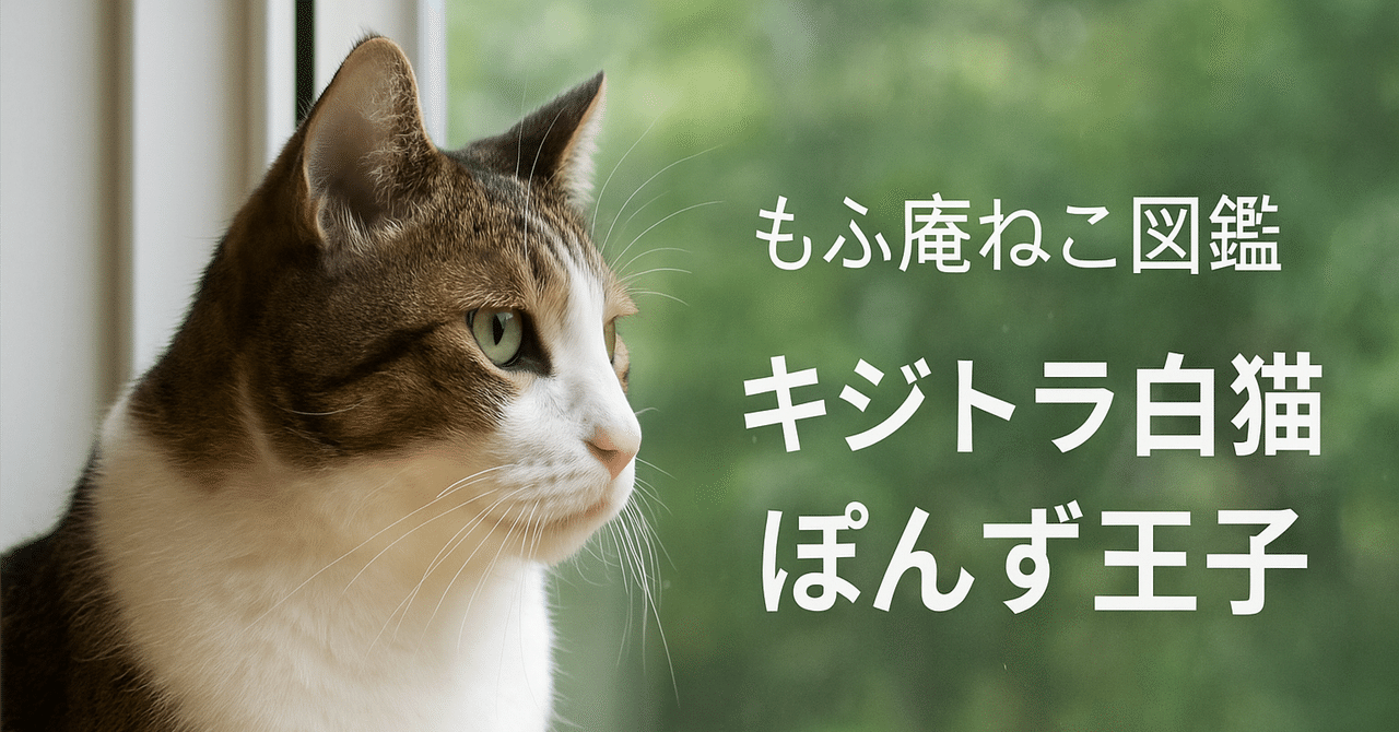 キジトラ白猫ページです。 Woobia ウービア 【巻き座りキジトラ白猫（大）】 (幅25cm×奥行