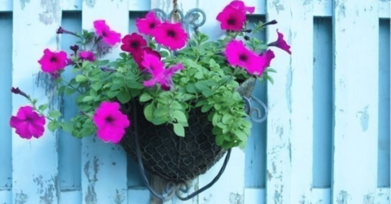 弘前大学医学部学士編入 得点開示｜やま