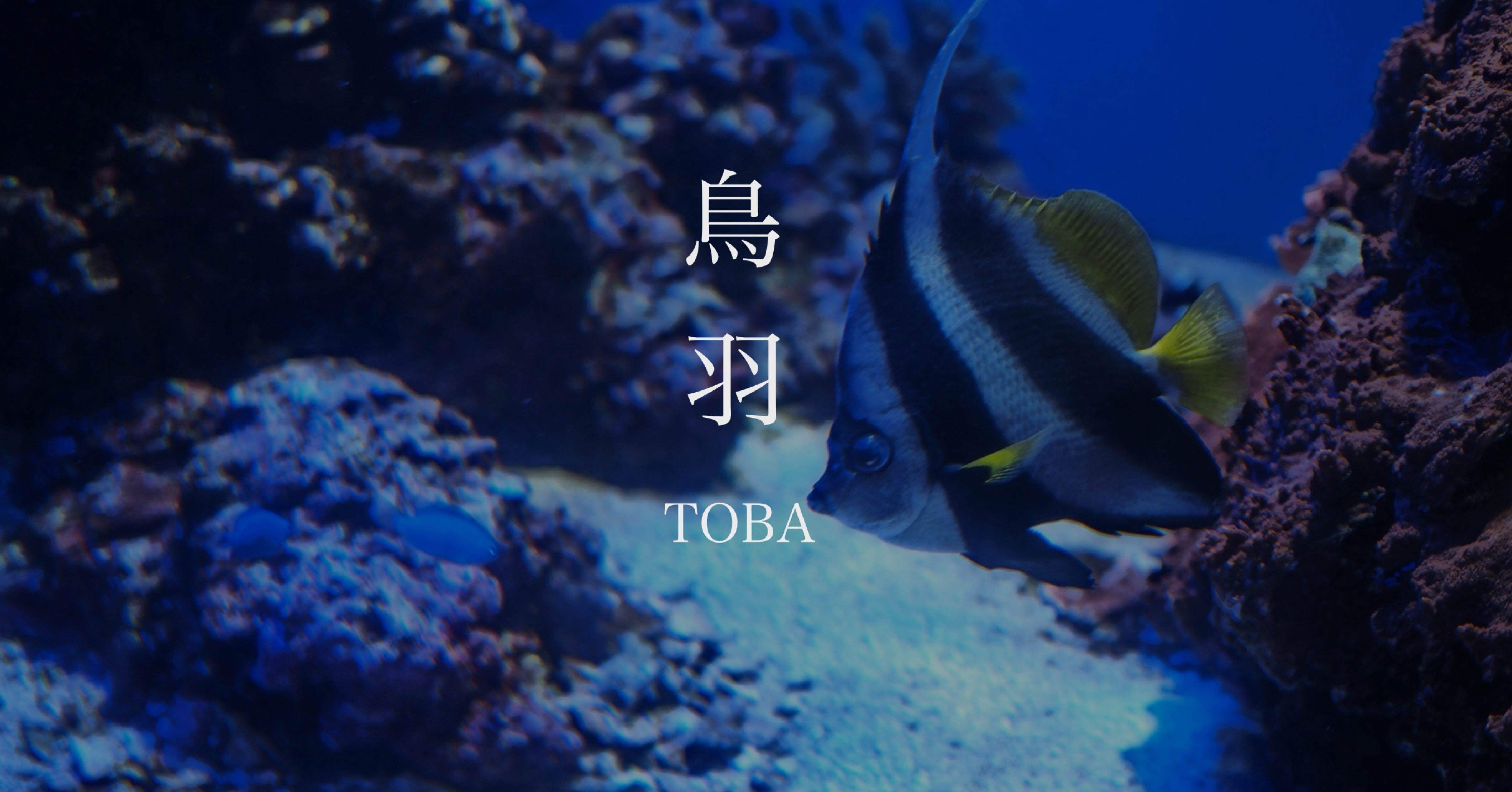 三重旅行 Day3 鳥羽水族館｜yuzuo