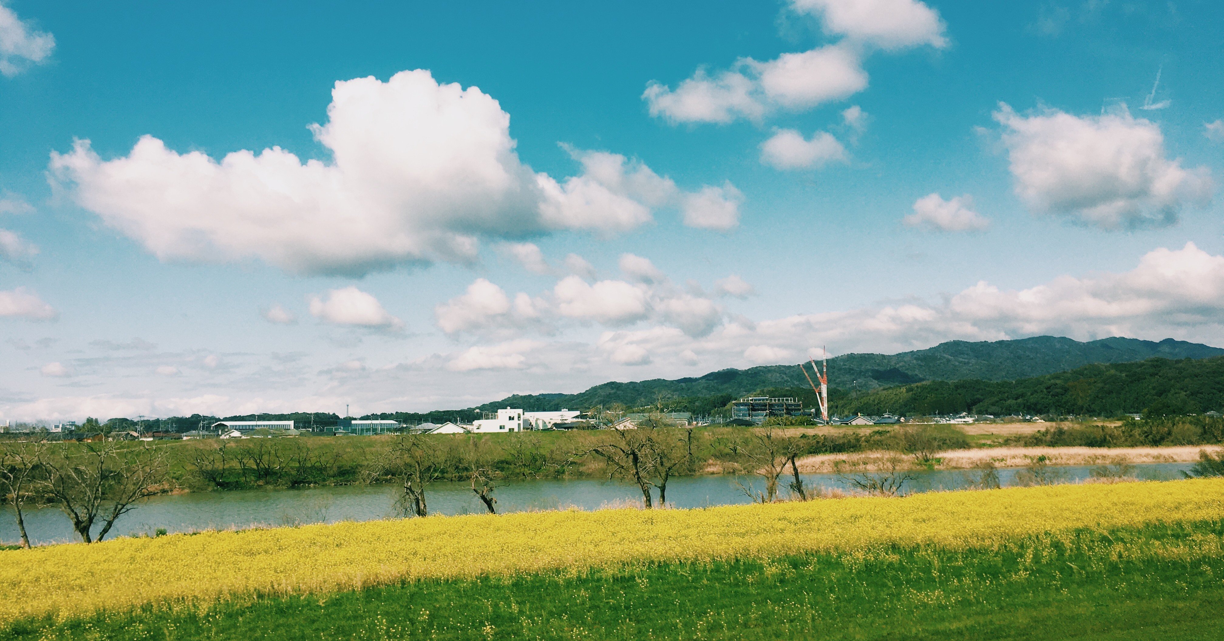 Note 始めます 元松美紅 Note