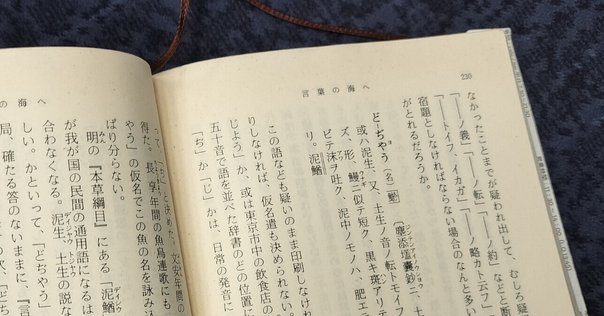 明治４４年　辞書っぽい本　手のひらサイズ 明治44年 辞書っぽい本 手のひらサイズ