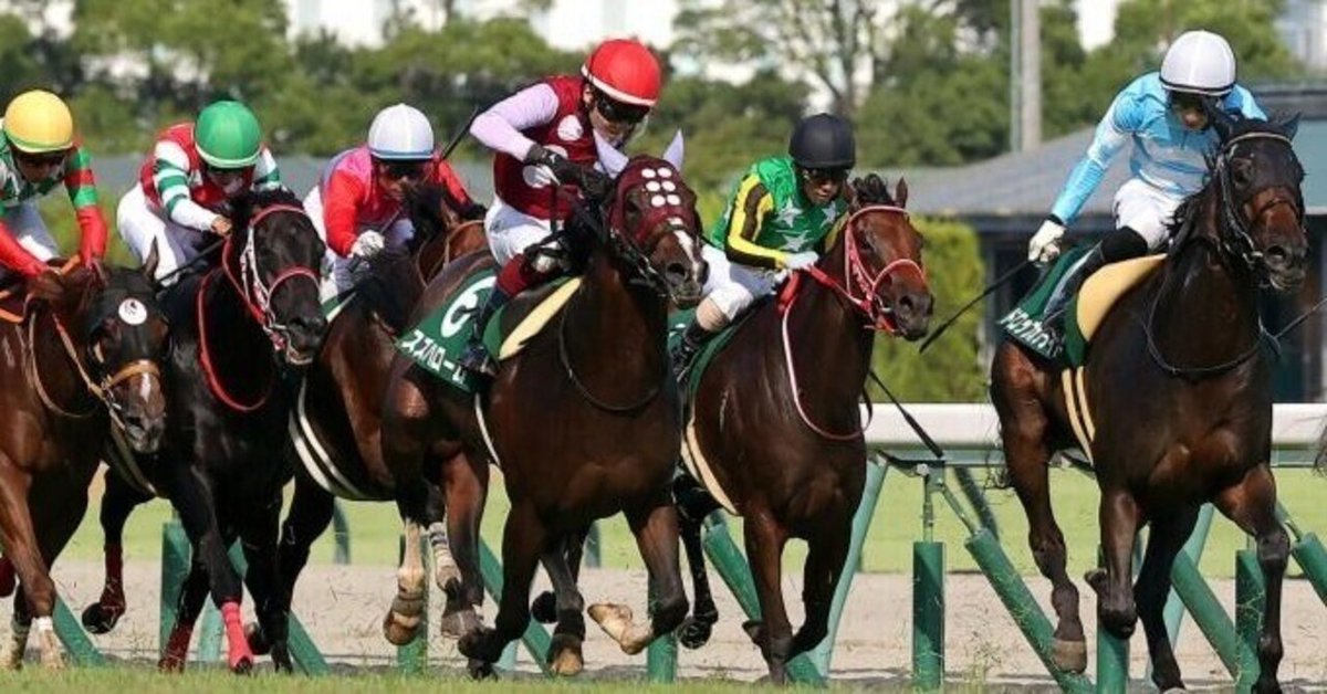 競馬関連一式 2025👑8👑16《土》【👑特SSS🐴激アツ万券勝負レース👑】🔥中京