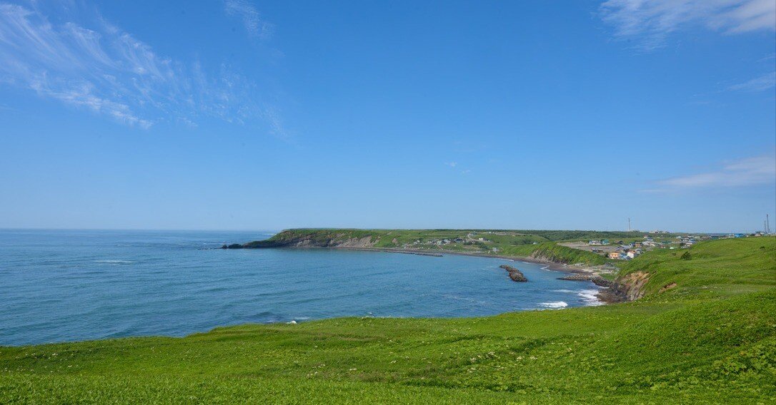 北海道で「野生のラッコ」に出会えた旅。国内50頭未満の絶滅危惧種