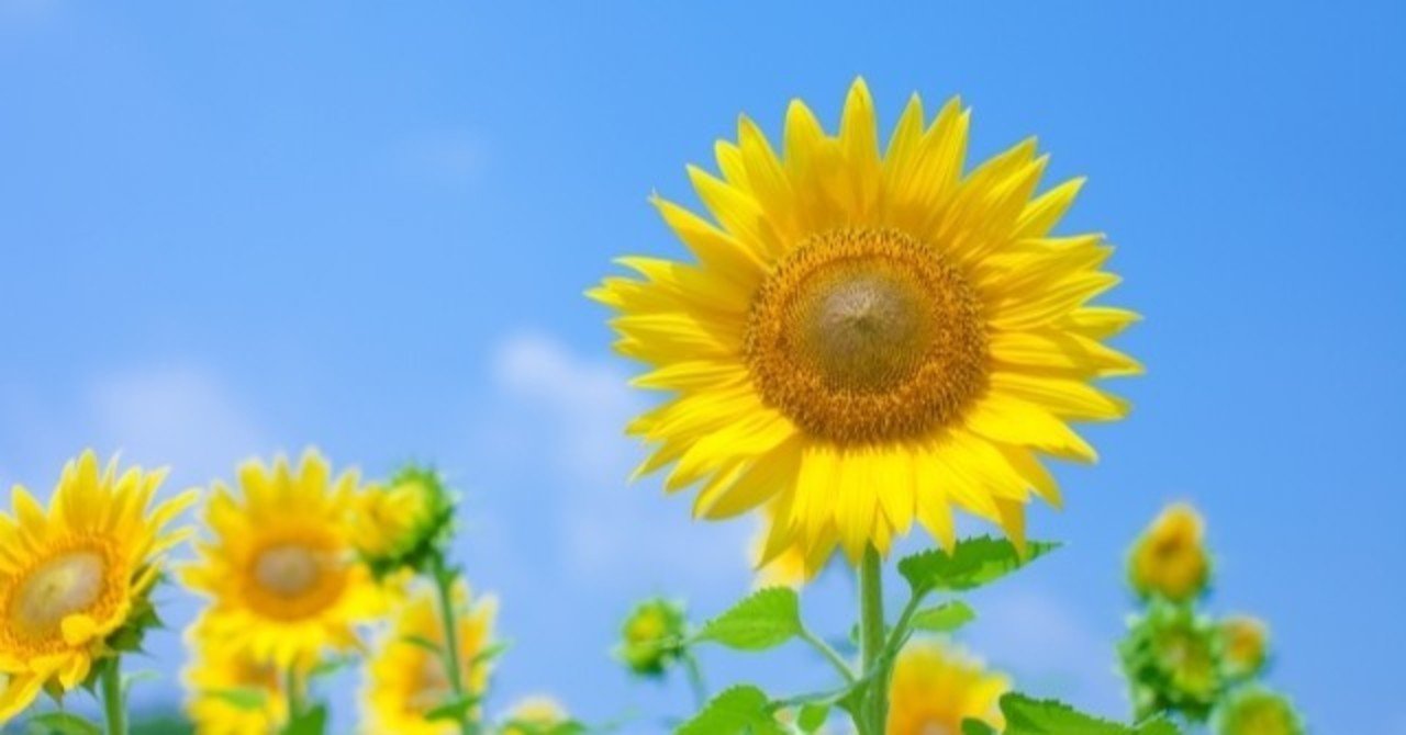 人生は代で決まる 仕事編 Mippa みっぱ Note