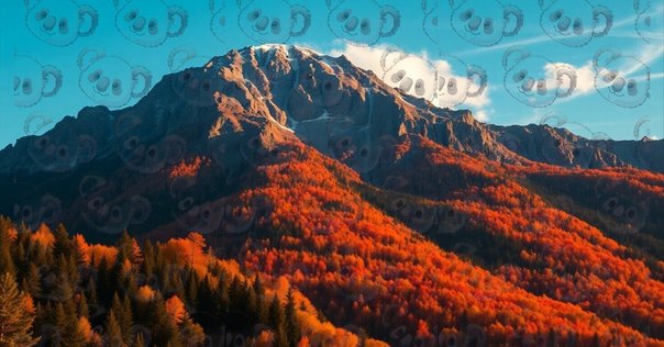 秋の風景と自然をAIで描く：無料で楽しむ3つのプロンプト｜夢彩