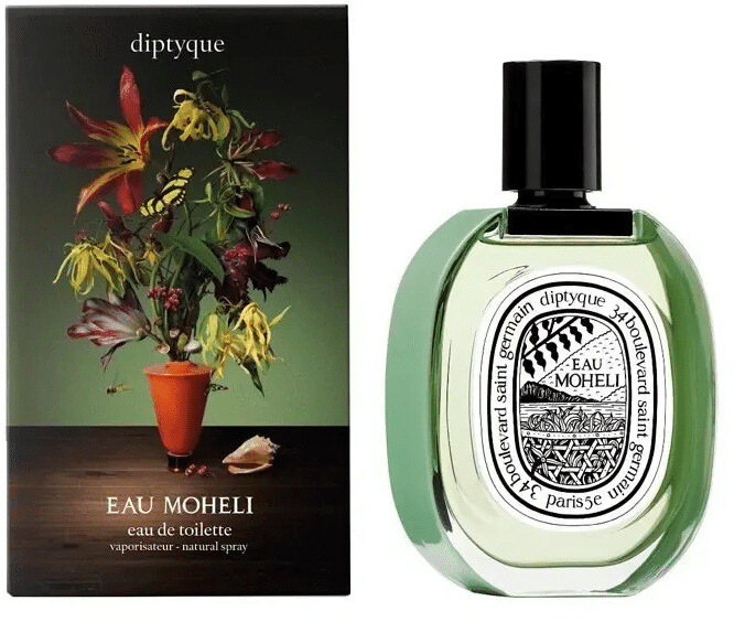 イランイラン　観葉植物　香水の原料　幸せの香り イランイラン 観葉植物 香水の原料 幸せの香り イランイラン