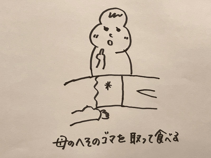 ママはいつだって花見だし いつだってへそのゴマは食べる 坂 るいす Note