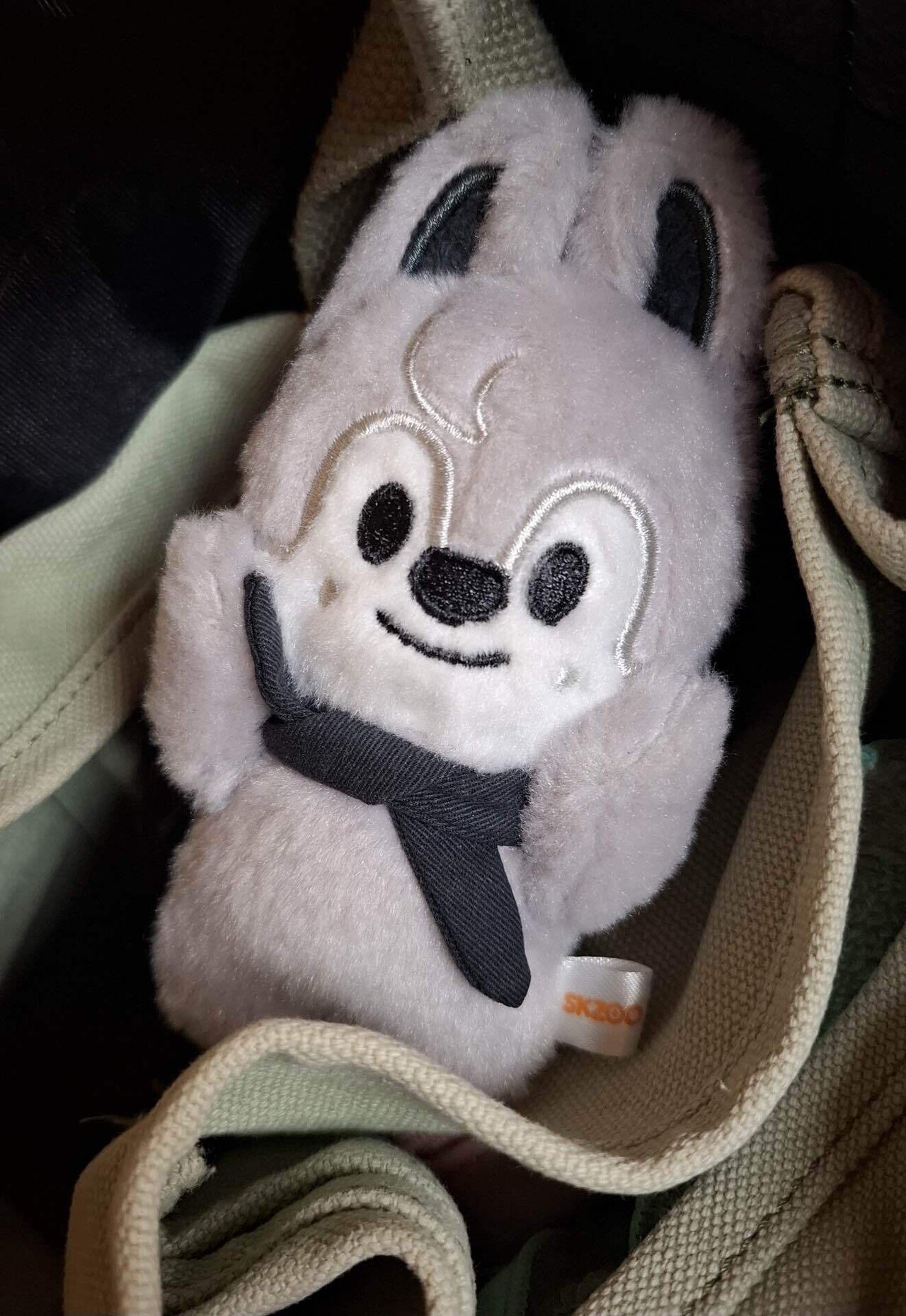 我が家のskzooたち⑩ ミッション！｜あや