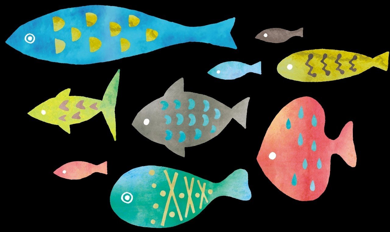 回遊魚 理科 Bifidum Note 回遊魚 理科 Bifidum Note