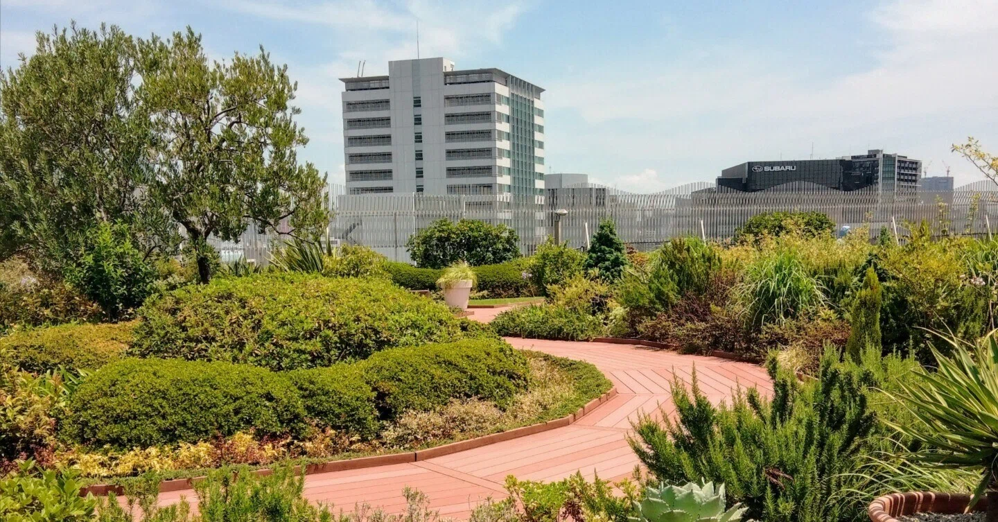 思い立ったらふらっと立ち寄れる屋上庭園、ebisu green garden 
