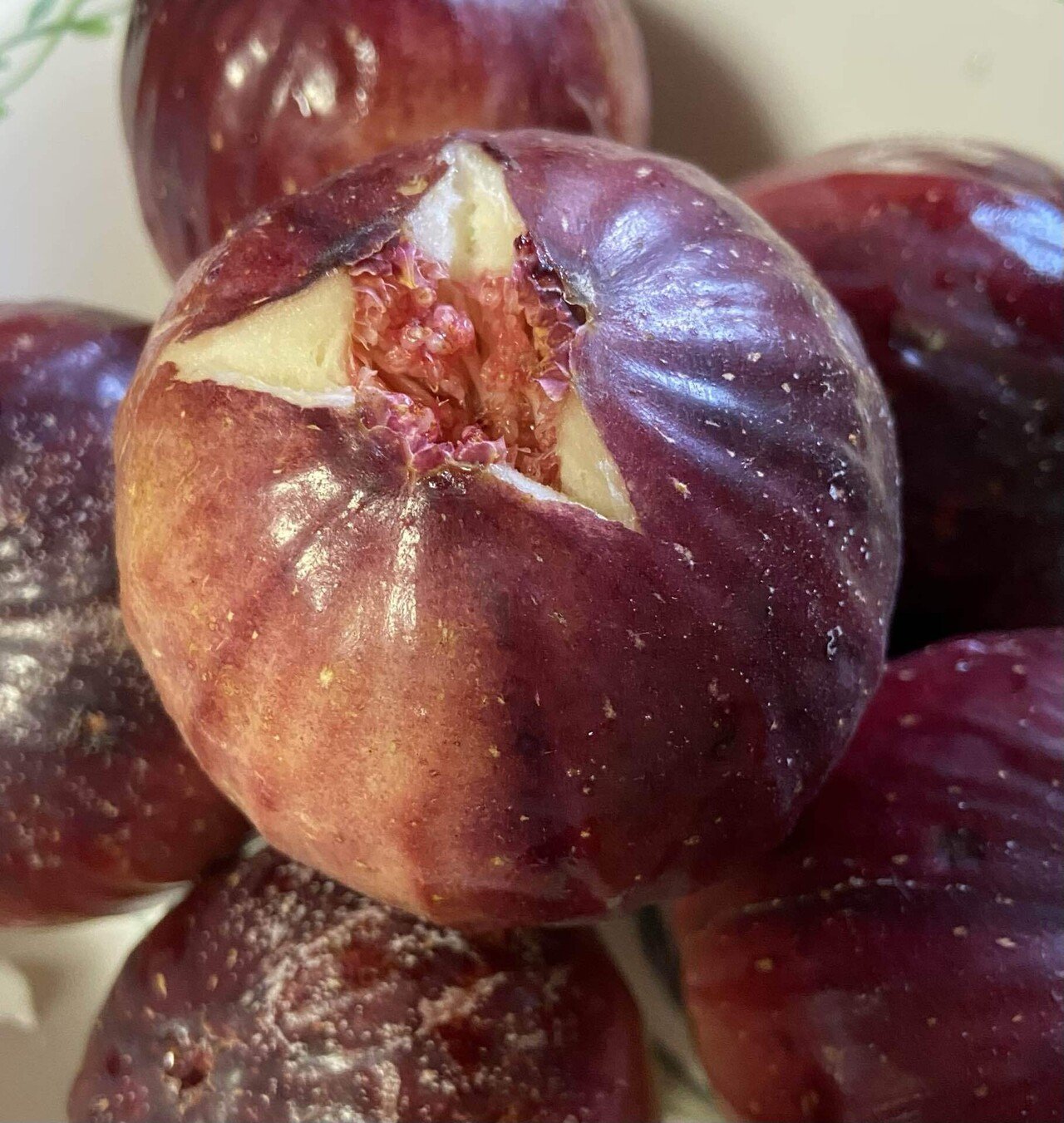 イチジク編：この時期に収穫開始！贅沢な朝食開始！｜Asuka