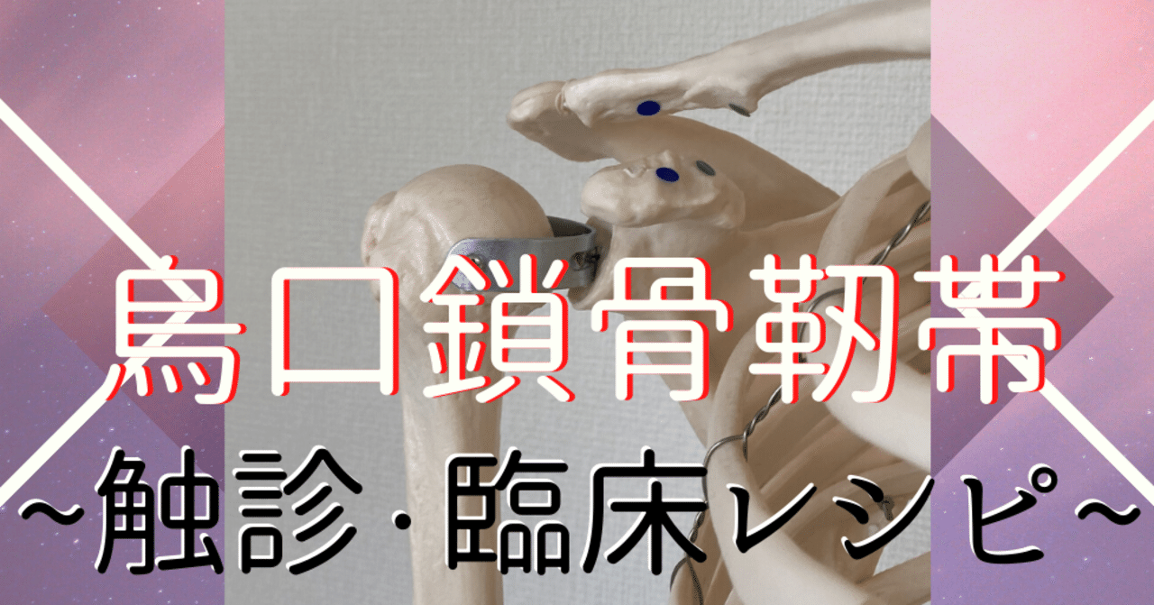 烏口鎖骨靭帯