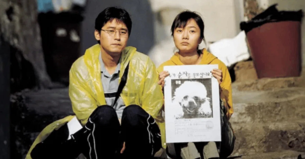 ほえる犬は噛まない』 今更レビュー｜お鍋はほんだし、映画はポン