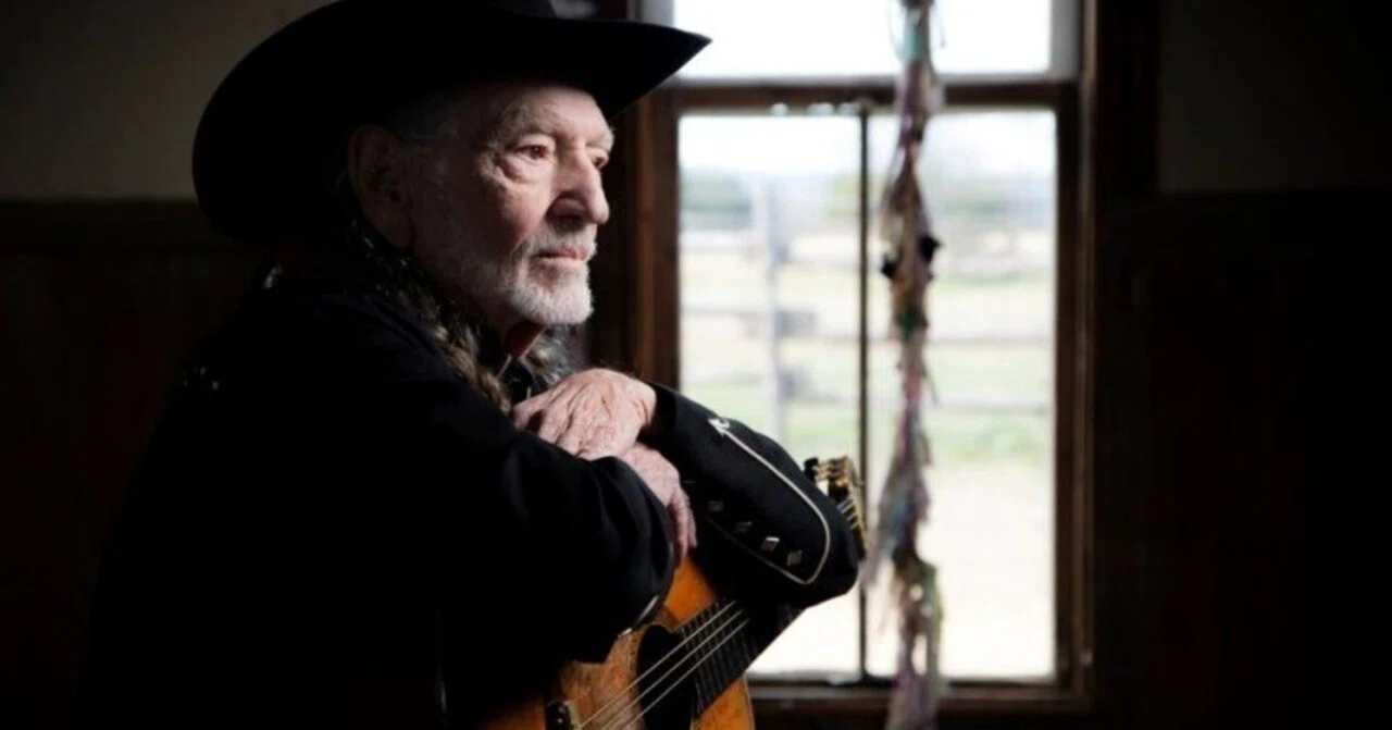 新品❣️アナログ盤最高峰『ウィリー・ネルソン　スターダスト』45回転片面LP 4面 Willie Nelson / Stardust - Guitar Records