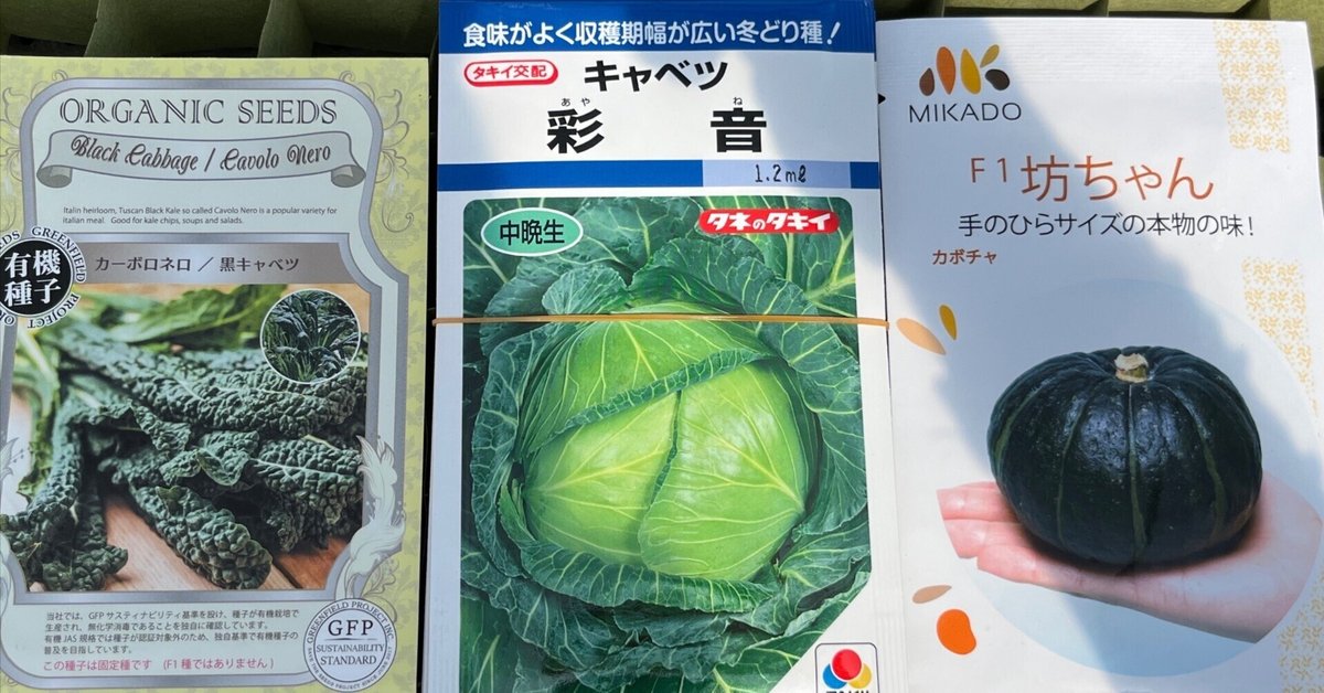 黒キャベツ2番手、キャベツ4番手、坊ちゃんかぼちゃ〜サラダ水菜