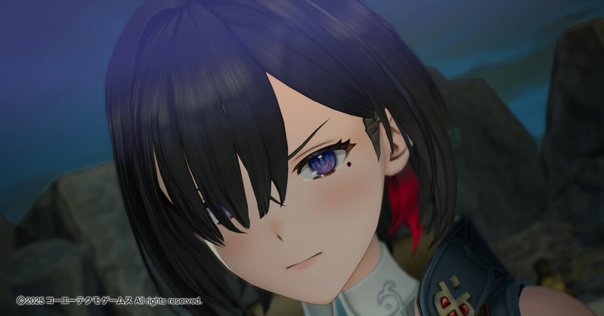 ヘルミーナとクルス～リリーのアトリエ もう一つの物語～ ヘルミーナとクルス~リリーのアトリエもう一つの物語~公式パー