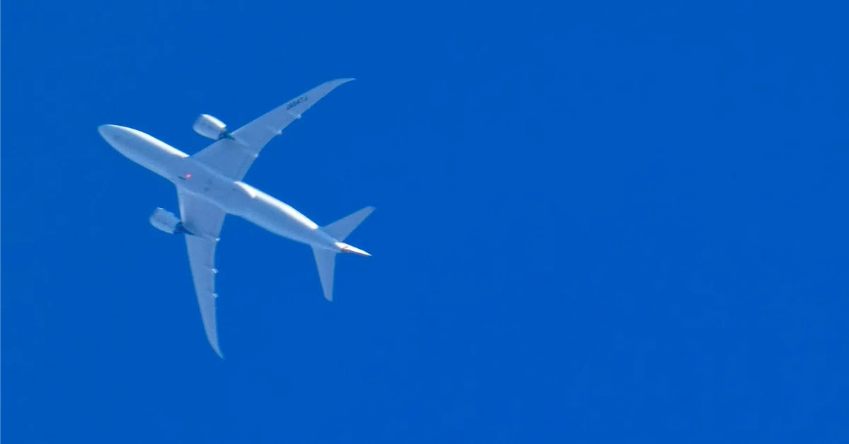 [Comparison of 3 Middle Eastern Airlines] Summary of Differences ...