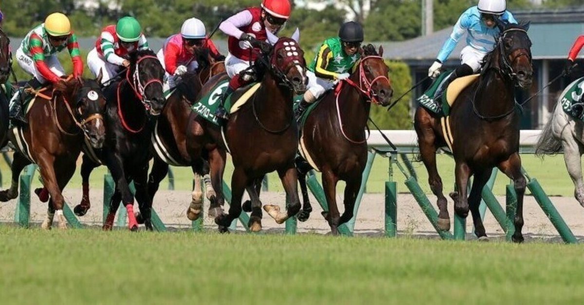 競馬メーンレースの勝ち馬は最終レースでわかる入手困難品クーポン限定ポイント殺菌済 2025👑8👑17《日》【👑特SSS🐴激アツ万券勝負レース👑】🔥中京
