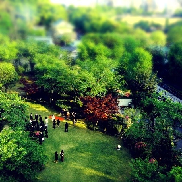上野恩賜公園内にある上野精養軒にてブライダル撮影。天気にも恵まれ、素晴らしい披露宴でした。写真はiPhone5で撮影した庭園。TiltShiftGenerator2を使って撮ったジオラマ風。