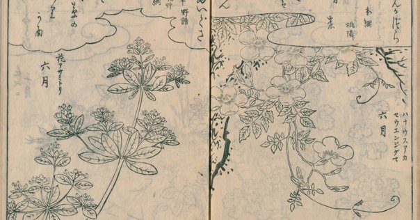 【大昔の絵本】薄俤幻日記（うすおもかげまぼろしにっき）草双紙江戸期当時物　浮世絵 大昔の絵本】薄俤幻日記（うすおもかげまぼろしにっき）草双紙