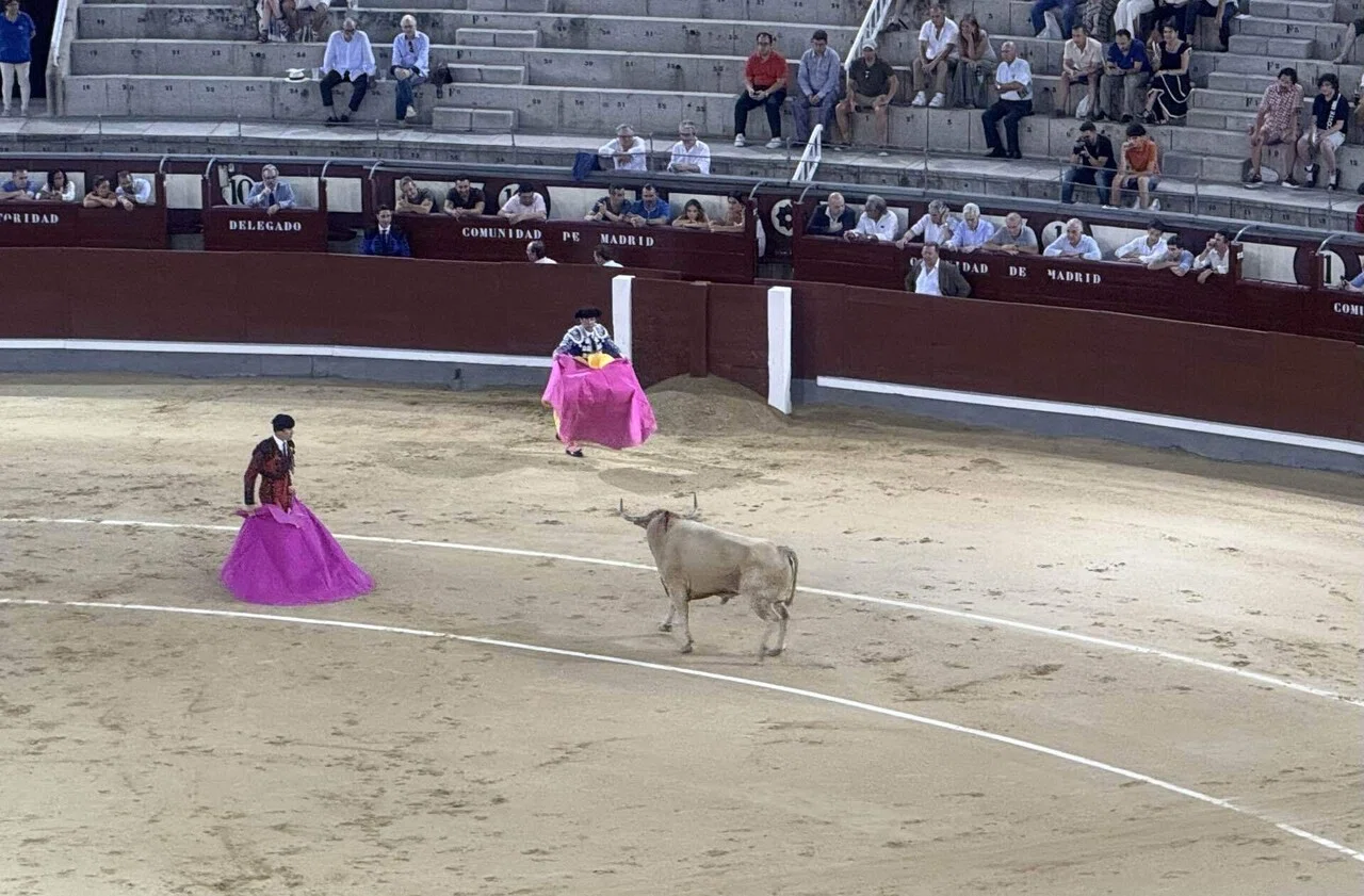 スペイン】世界一有名な闘牛場で人生で初めて闘牛を見てきた｜旅ありす