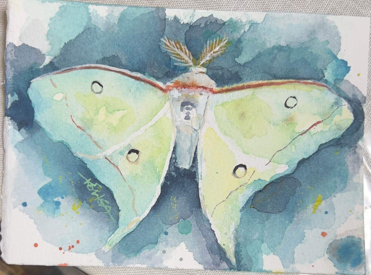 水彩日記① はじめて出会った幸運の蛾｜サチコ／ペット肖像画&物語の