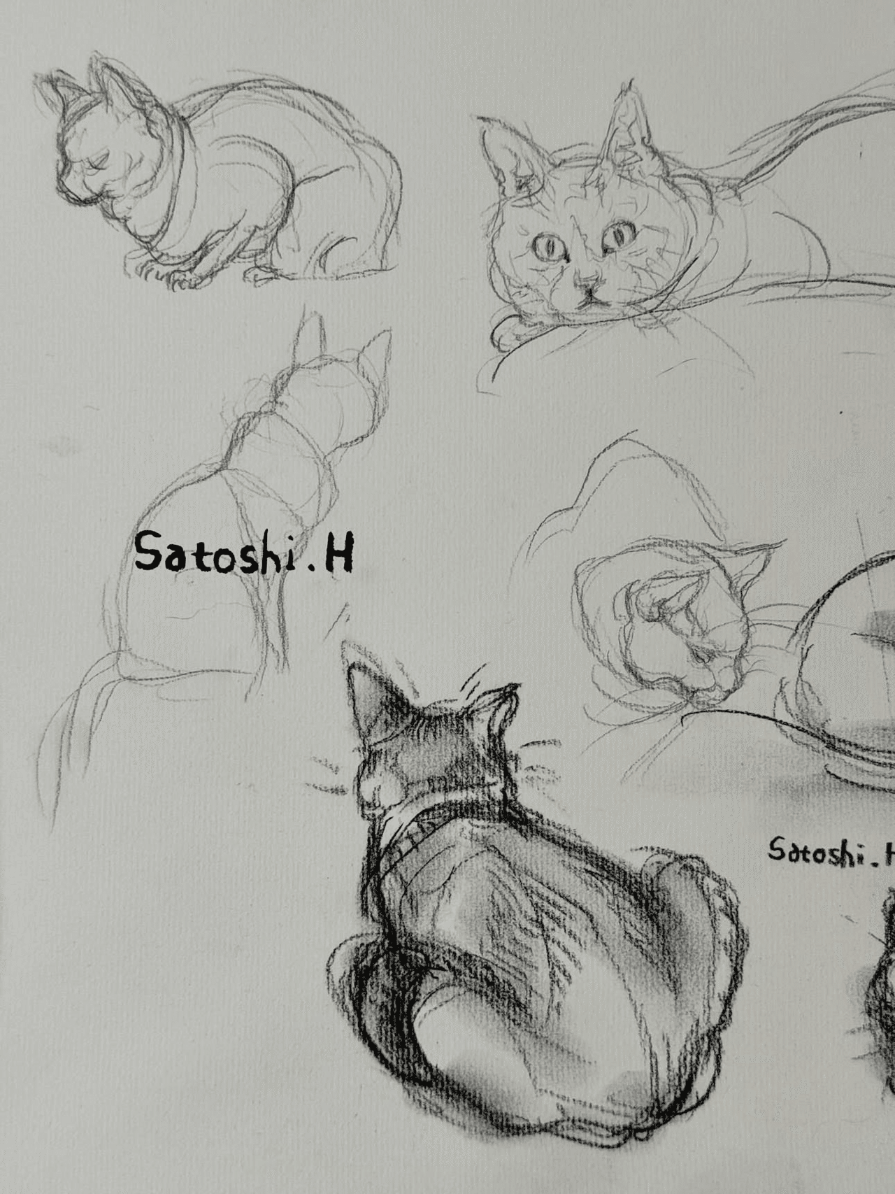 ねこリッキー 20240329-085424-380A6072-CR3-