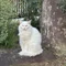かため