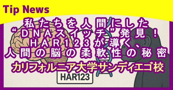 ネイチャー　ヒトゲノム特集号　2冊組 ネイチャー ヒトゲノム特集号 2冊組