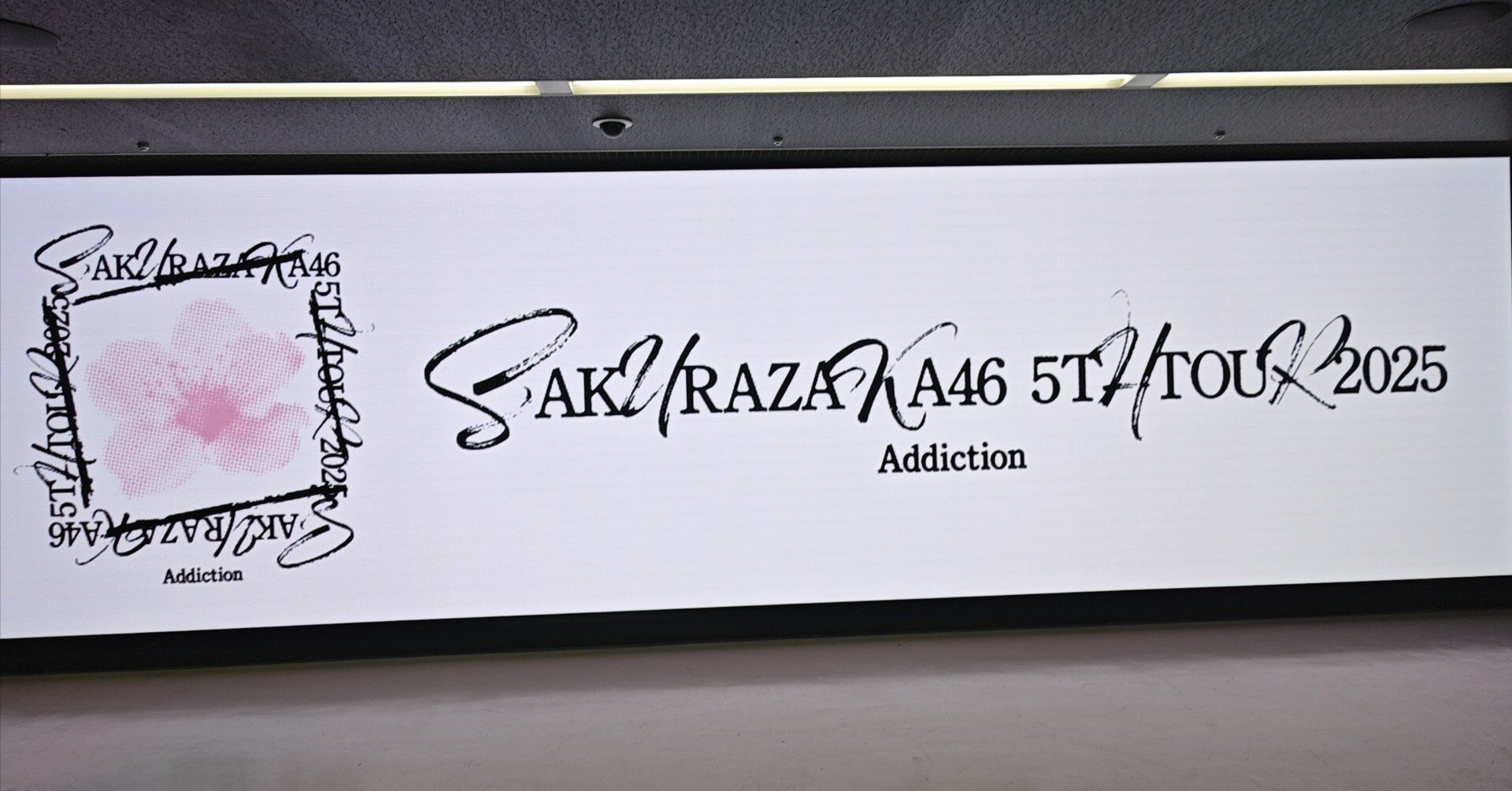 最高の櫻坂46が、最高の舞台に立つ瞬間 ―5th TOUR “Addiction”の集大成
