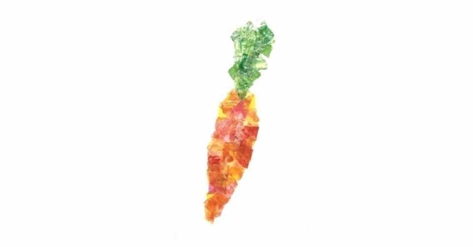 肌断食 ダイエットと美肌は両立できるか その2 Tayu Note