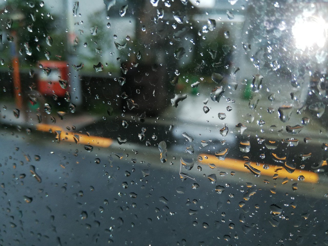 春の雨 Ryo Kimura Note