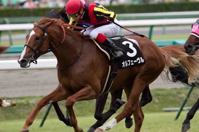 3 14 土 中央競馬予想 中山 阪神 中京 Luke Note 3 14 土 中央競馬予想 中山 阪神 中京 Luke Note