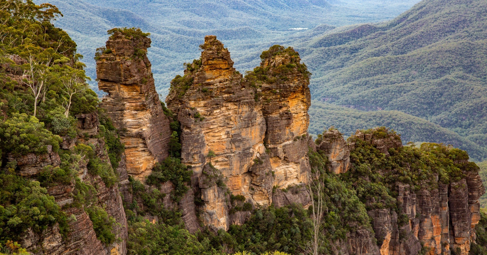 世界遺産ブルー・マウンテンズ国立公園｜Zenpaku